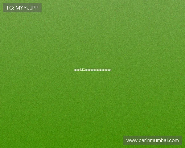 全面解析MG电游中的热门角色和装备搭配优化策略